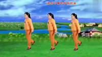 DJ版广场舞《明月夜》正背面演示附口令分解