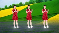 玫香广场舞《人这一辈子图个啥》动感16步附分解 简单易学下载
