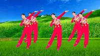 玫香广场舞《响沙千里一壶酒》正背面演示附教学下载