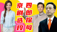 京剧《四郎探母》主演 王珮瑜 李胜素 于魁智 主持人朱迅饰铁镜公主下载