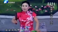 河南坠子《刘统勋小出身》全本30集合并 胡