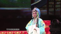 扬剧《玉蜻蜓》探病得子 乔元珍 张丽萍演出下载