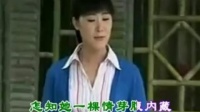 黄梅戏《郞对花姐对花》只为山乡情意长 繁华学唱下载