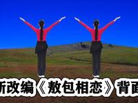 DJ广场舞《敖包相恋》