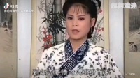 庐剧《大年三十》1欣赏版 总二集下载