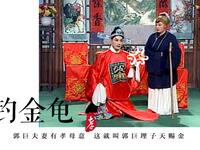 庐剧《钓金龟》下载