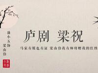 庐剧《梁山伯与祝英台》山伯闯帘下载