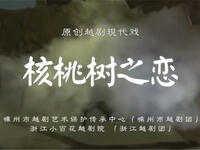 越剧《核桃树之恋》全剧