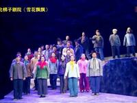 河北梆子现代戏《雪花飘飘》全集下载