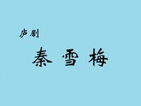 庐剧《秦雪梅》选集下载