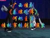 广西桂剧《秦琼观阵》桂林市桂剧团演出下载