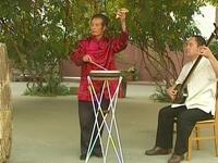 西河大鼓《杨金花夺印》下集下载