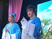 庐剧《琵琶记》嘱别下载