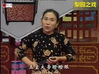 河南坠子《两个儿媳打婆婆》二十年以后你也