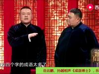 成语博士下载