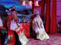 湖南花鼓戏《秦香莲》第3集 南县大拇指花鼓