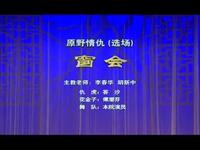 荆州花鼓戏《原野情仇》