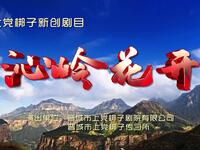 晋城市上党梆子剧院《沁岭花开》