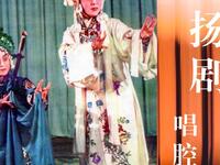 扬剧《堆字大陆板》合集名家唱段下载