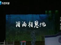 豫剧《泪洒相思地》