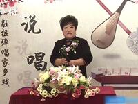 河南坠子《五女兴唐传》第15集下载