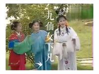 庐剧《九仙女下凡》下载