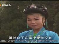 庐剧《王婆的一生》下载