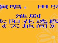 淮剧《太阳花》选段《天地间声声呼唤儿英魂