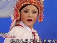 河北梆子《花木兰连日来赵将军》下载
