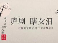 庐剧《瞎女泪》摸夫下载
