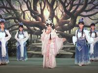 歌仔戏《文曲月痕》下载