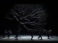 京剧《花漫一碗泉》第9届京剧艺术节下载