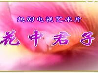 越剧电视艺术片《花中君子》全剧下载