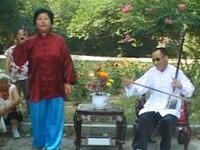 河南坠子《王汉喜借年》（王金豆借粮）下载