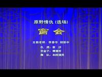 荆州花鼓戏《原野情仇》