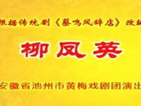黄梅戏《柳凤英》全剧下载