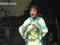 豫剧新版《风雨行宫》审金桂下载