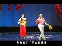二人转《大西厢》选段《西厢观花》《西厢报