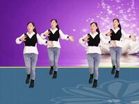 玫香广场舞《借我一点爱》正面演示下载
