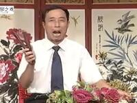 大鼓书《张廷秀私访》第六集