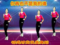 广场舞《你再也不是我的谁》