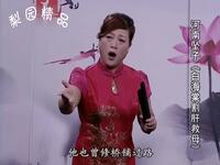 河南坠子《白海棠割肝救母》下载
