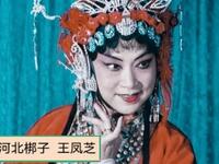 河北梆子《呼延庆打擂》下载