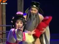 现代淮剧《莲子》中集  涟水县淮剧团演出下载