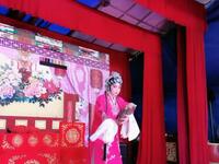 湖南花鼓戏《两代情仇》下载