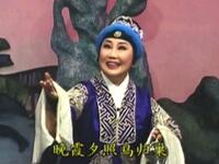 扬剧《魏大蒜》下载
