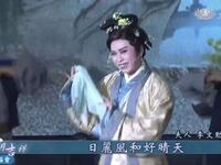唐美云歌仔戏《光目女救母》下载