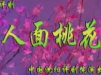 评剧《人面桃花》沈阳评剧院演出下载