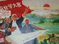 吕剧《大寨花开》山东省吕剧团演出下载
