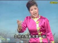 河南坠子《杨二郎劈山救母》下载